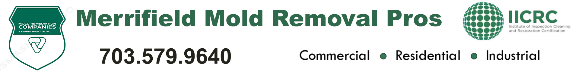 Merrifield Mold Removal Pros